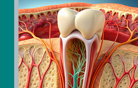 Upcoming Education and Collaborations 